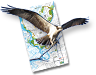 osprey_map