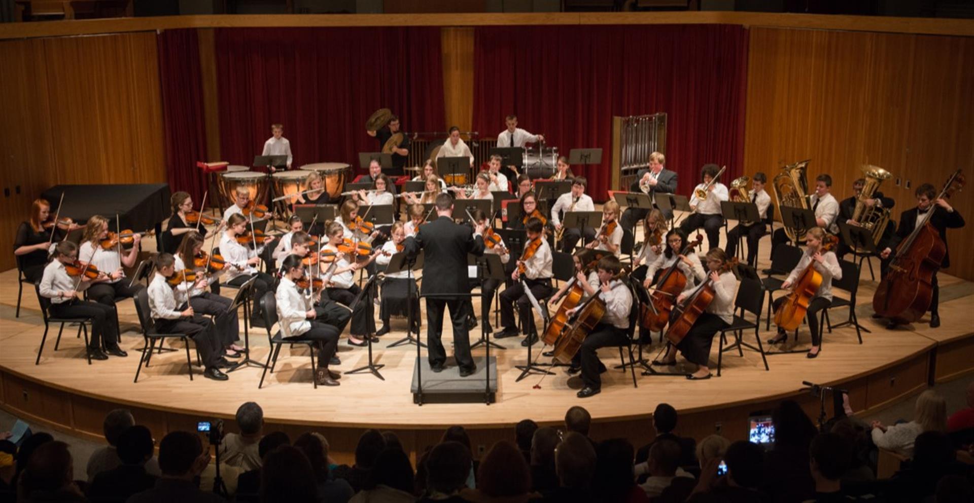 Central Wisconsin Youth Symphony Orchestra Stevens Point Green